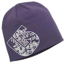 Burton Beanie