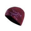 Arcteryx Bird Head Toque