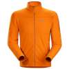 Arcteryx Delta LT Jacket