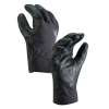 Arcteryx Vertical SV Glove