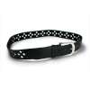 Burton Leather Belt Womens