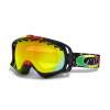 Oakley Crowbar Snow Goggles