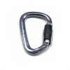 Petzl Charlet William Ball Lock Carabiner