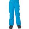 Roxy Hibiscus Snowboard Pants - Girls