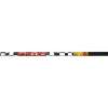 Scott Newcastle Ski Poles